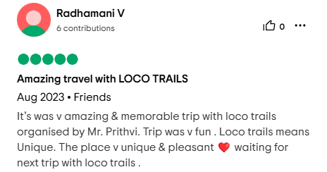 Traveler review 13