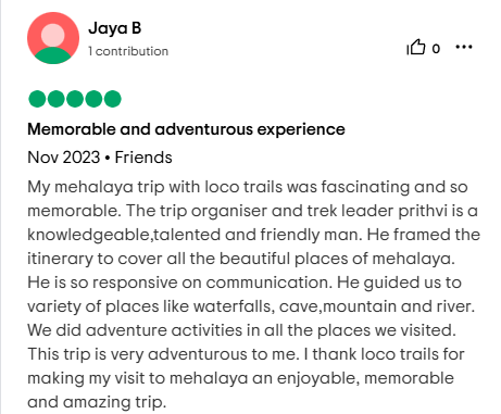 Traveler review 15