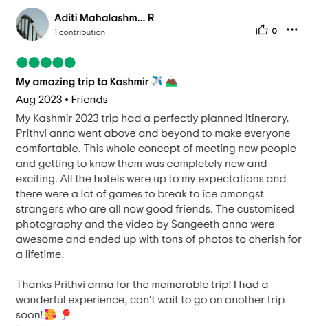 Traveler review 17