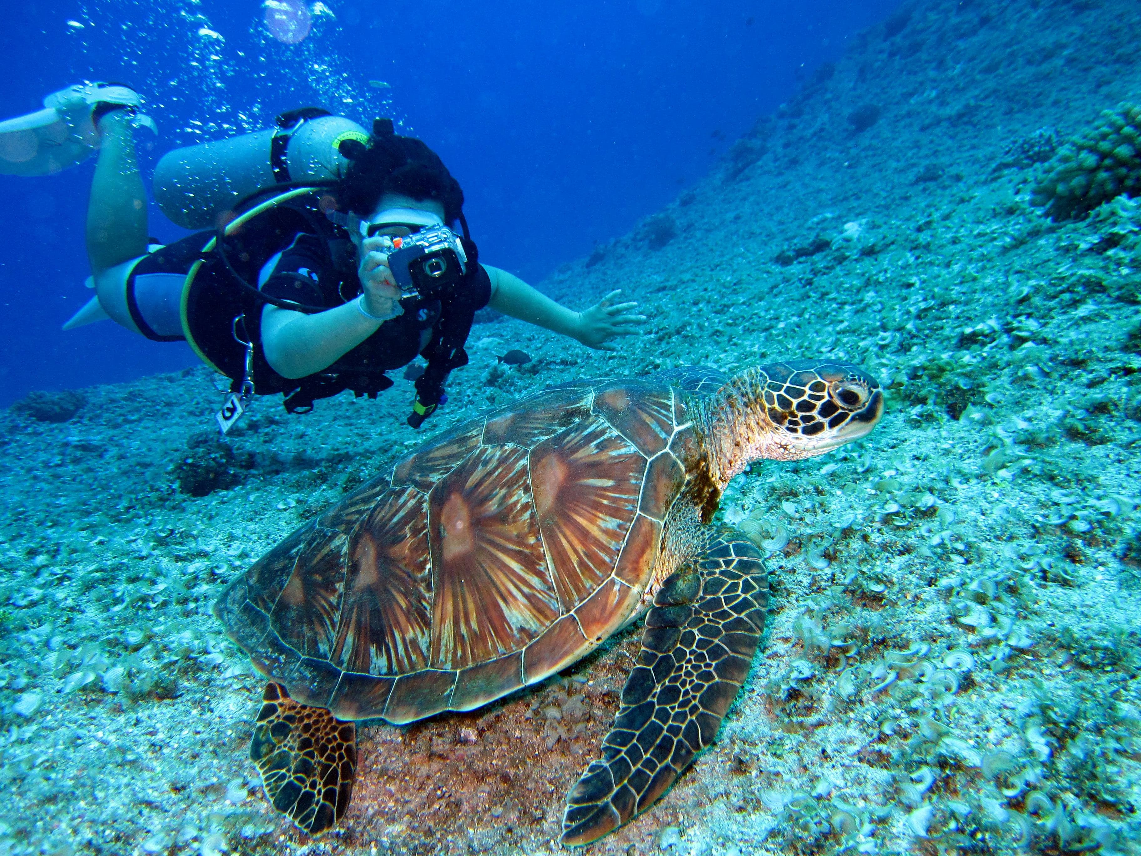 Scuba Diving in Andamans