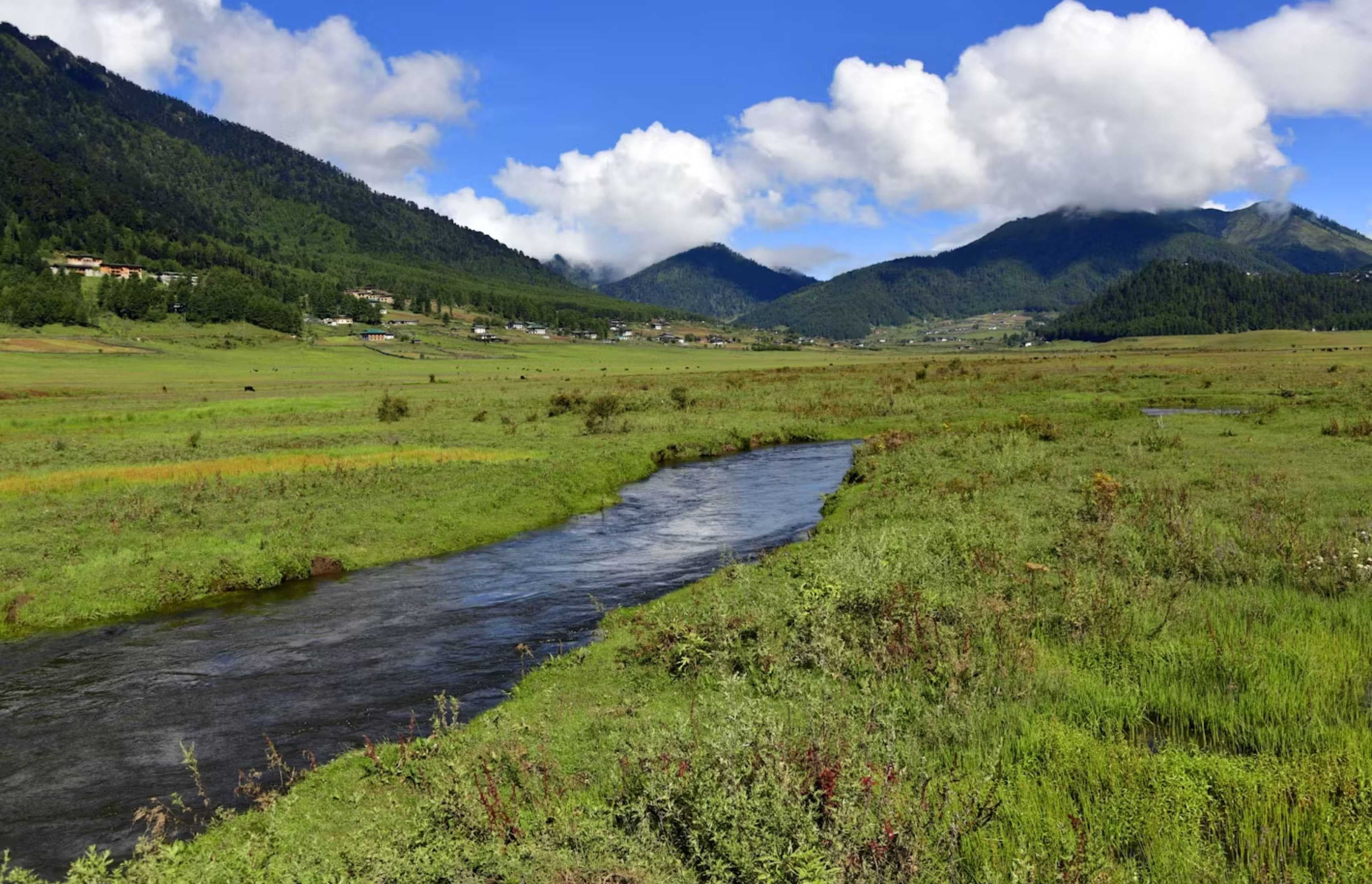 DRIVE TOWARDS PHOBJIKHA