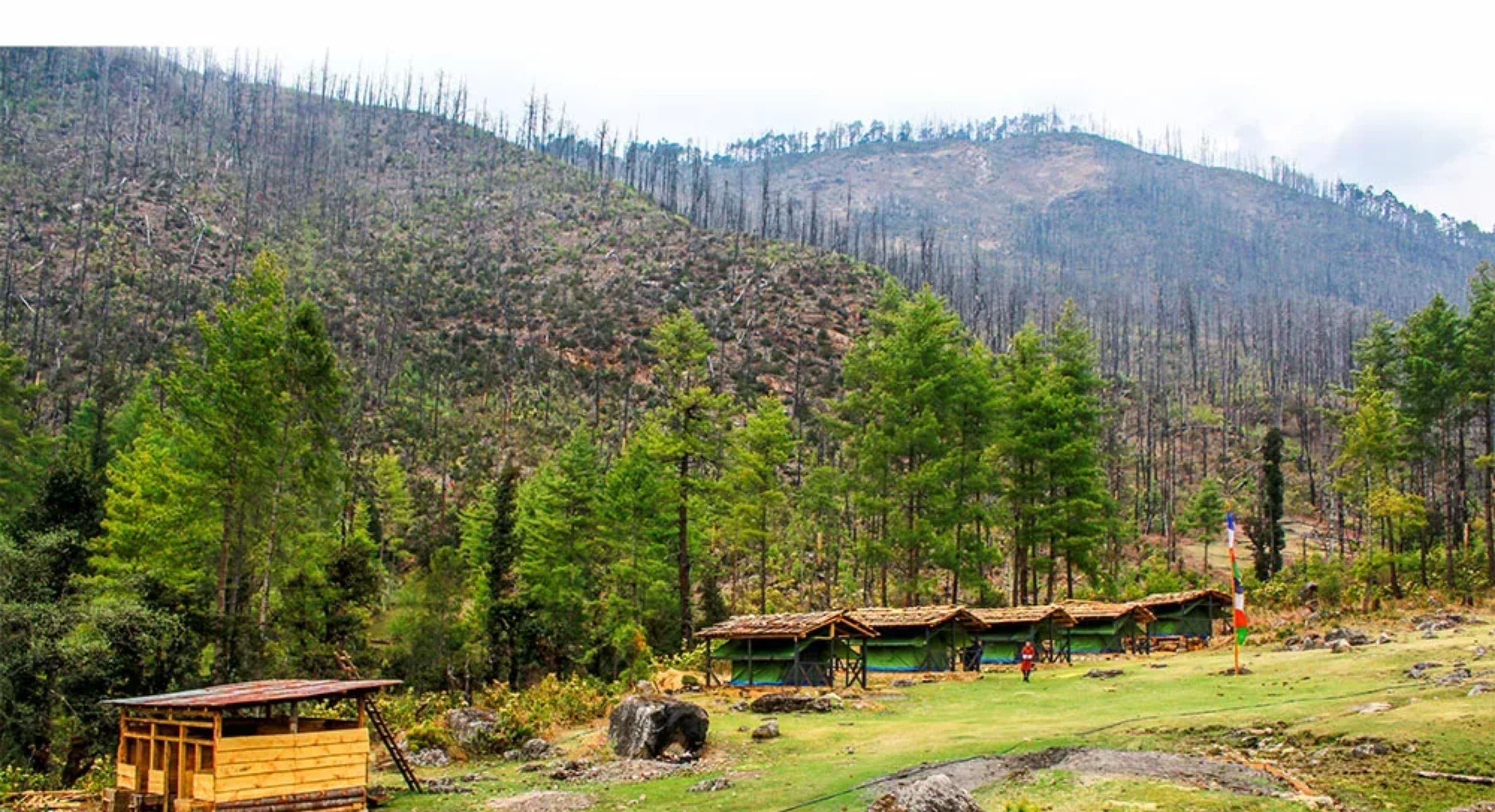 Arrival & Serenity in Haa Valley