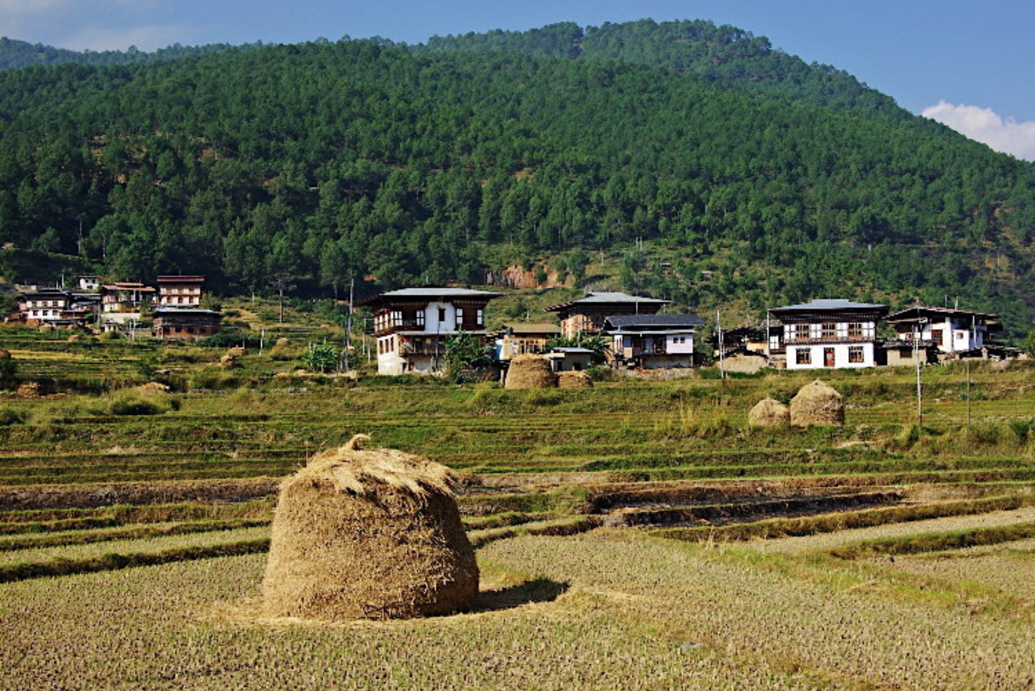 Punakha – Rivers & Historic Fortresses