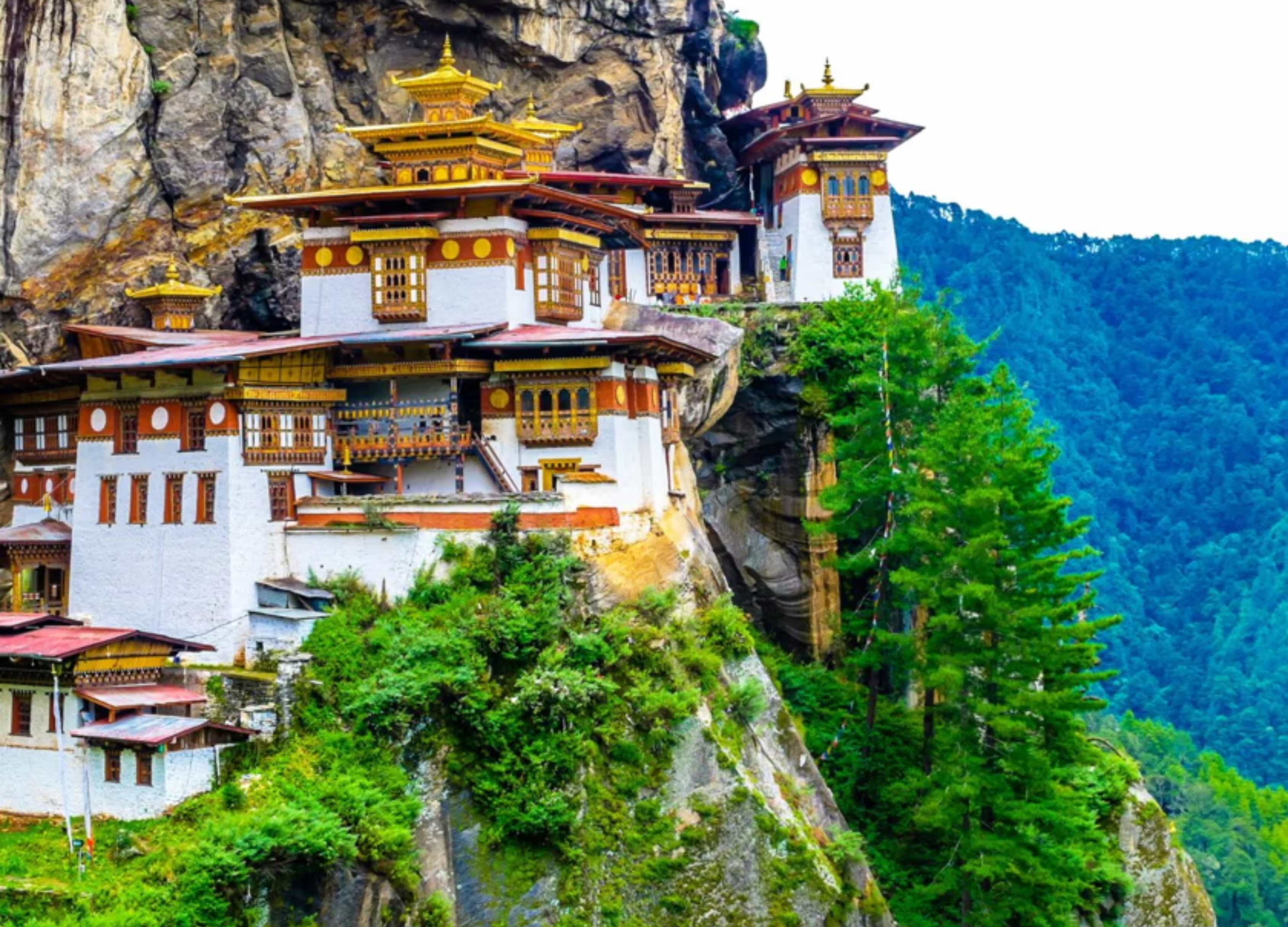 Historical Paro Exploration