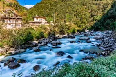 In the Silence of Phobjikha