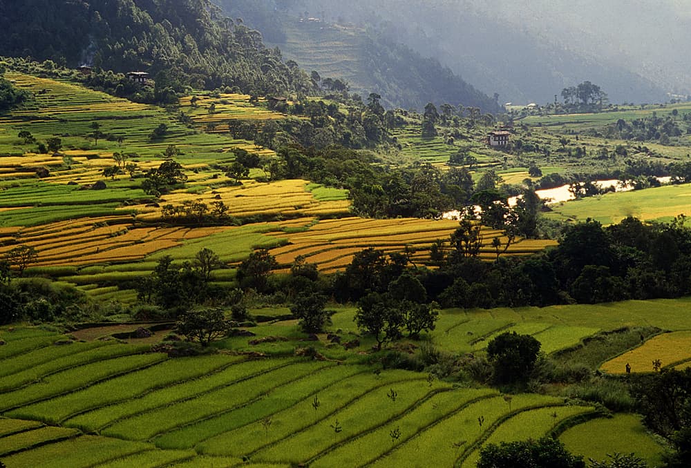 BHUTAN - 9D/8N - Valleys, Monasteries & Mountain Stillness