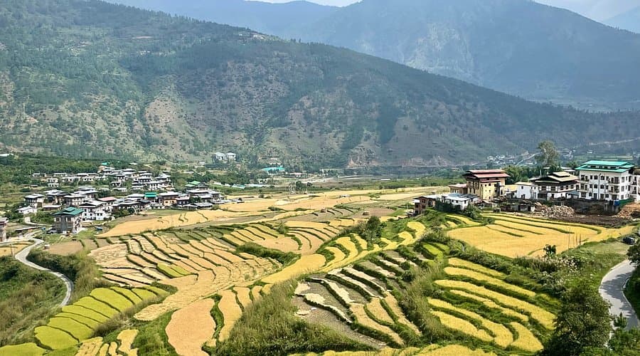 Art, Stories & Homestay Meals