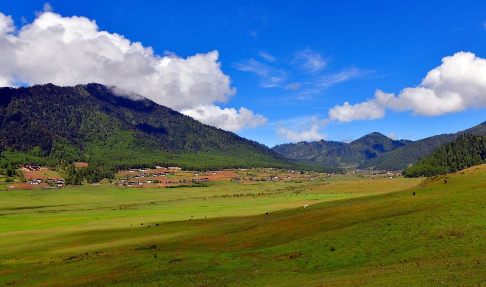 The Slow Unfolding of Phobjikha