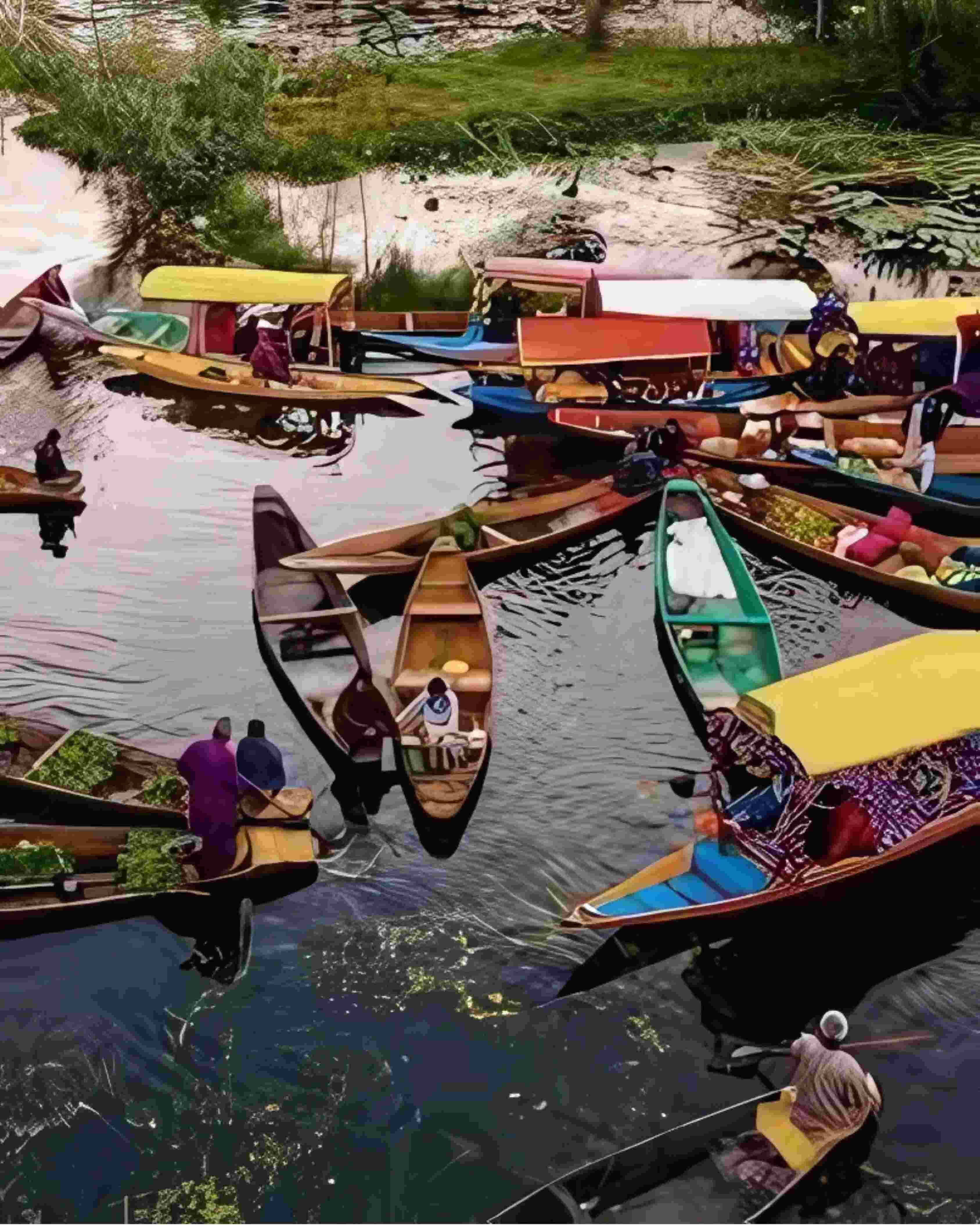 BACK TO SRINAGAR – ONE LAST GLANCE