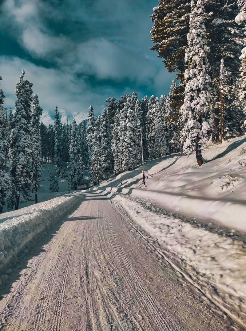 KASHMIR - 7D/6N - Whispers in a White Valley 