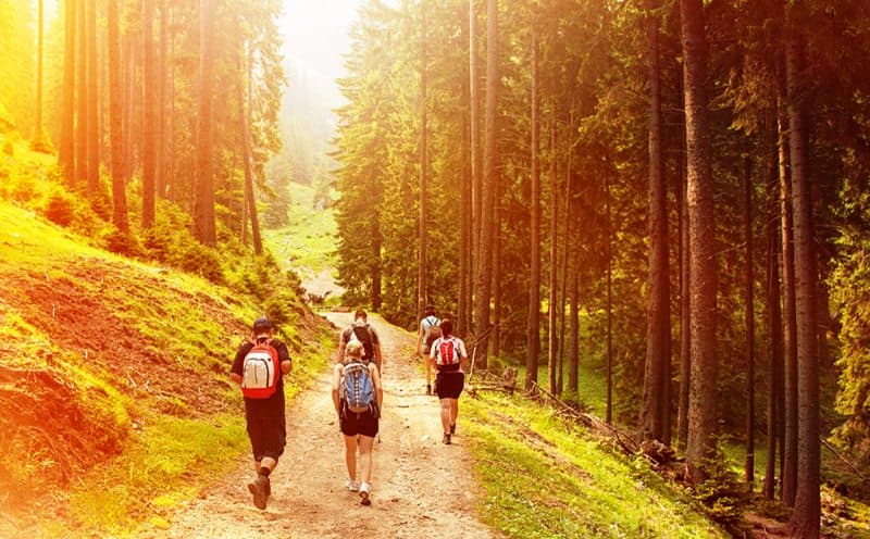 The Trail to Lidderwat – On Hooves & Hushed Paths
