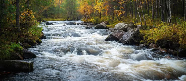 Aru – Forests, Hooves & River Songs