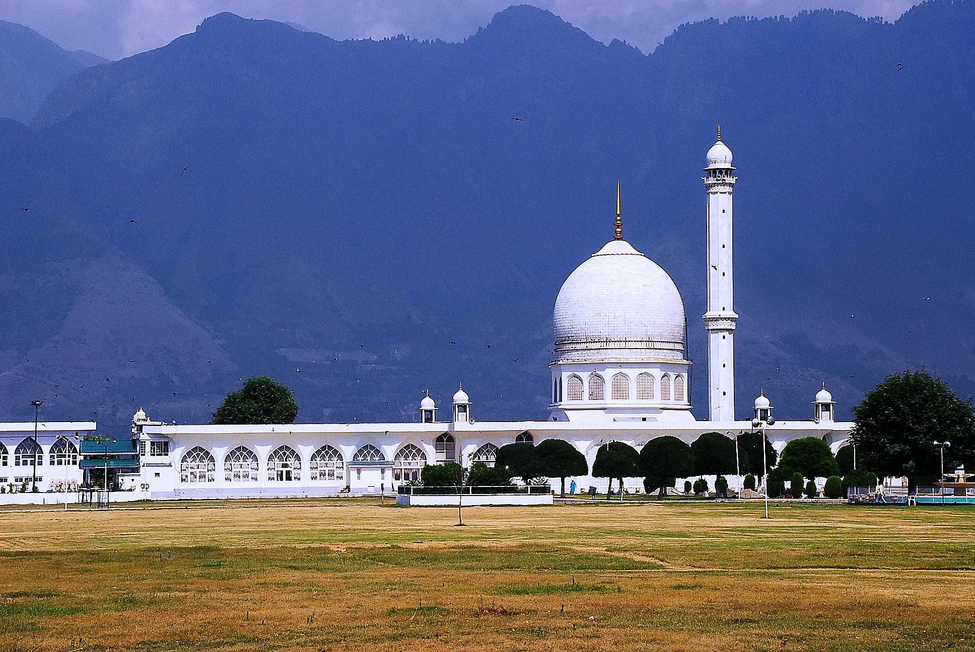 Srinagar – Pedals, Petals & Perspective