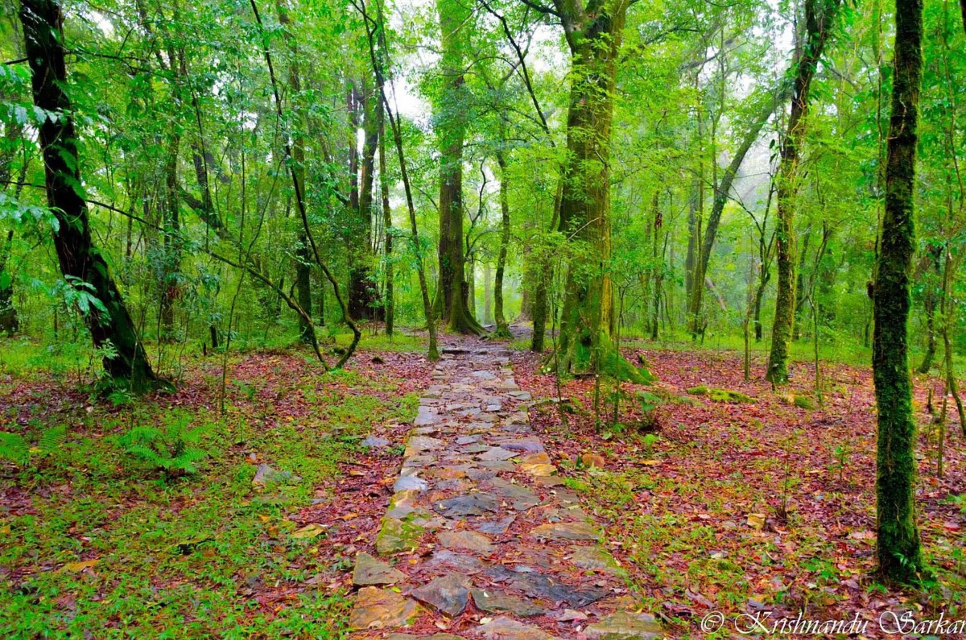 SHILLONG TO GUWAHATI – UNTIL WE MEET AGAIN