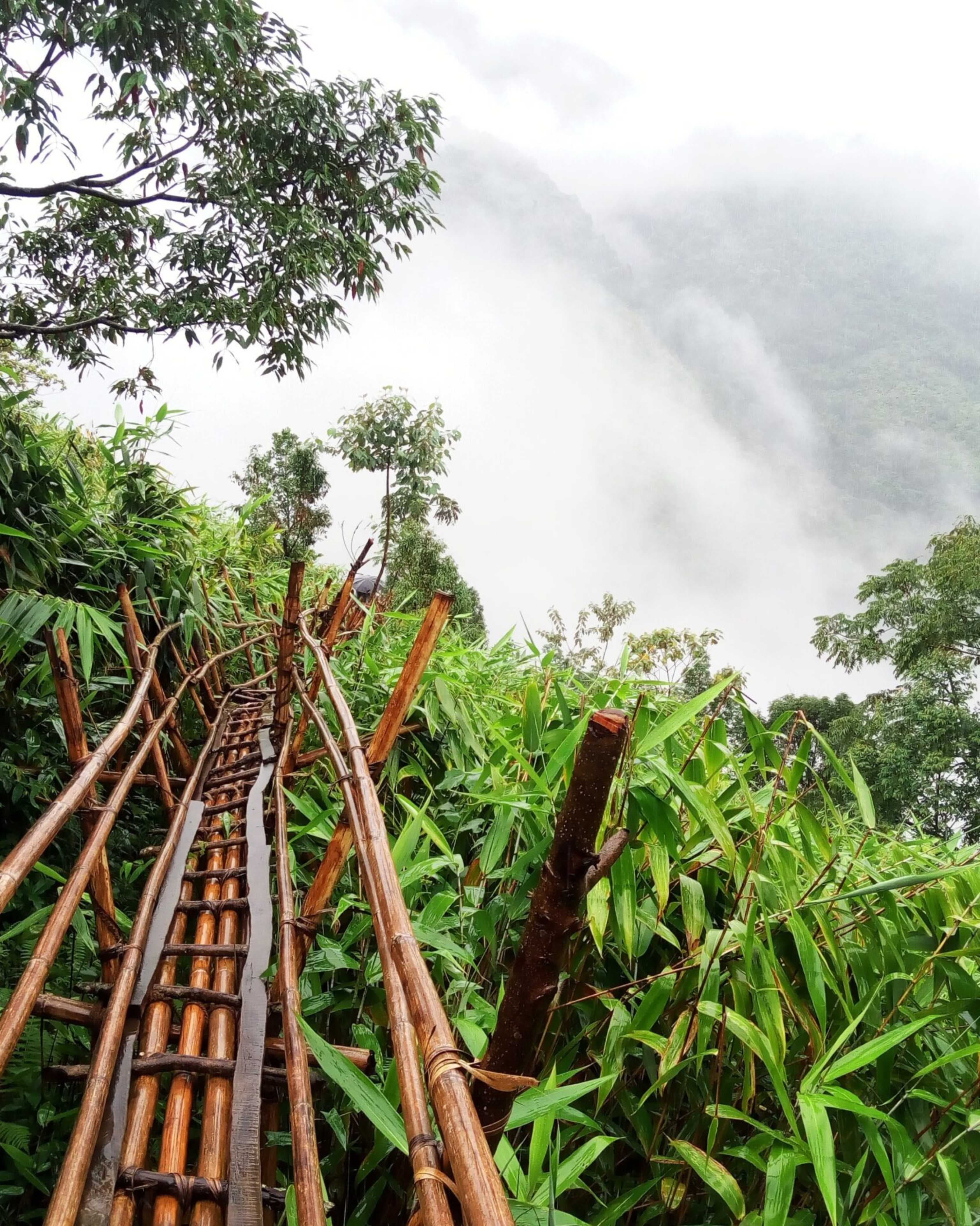 MAWRYNGKHANG BAMBOO TREK – WALK THE EDGE