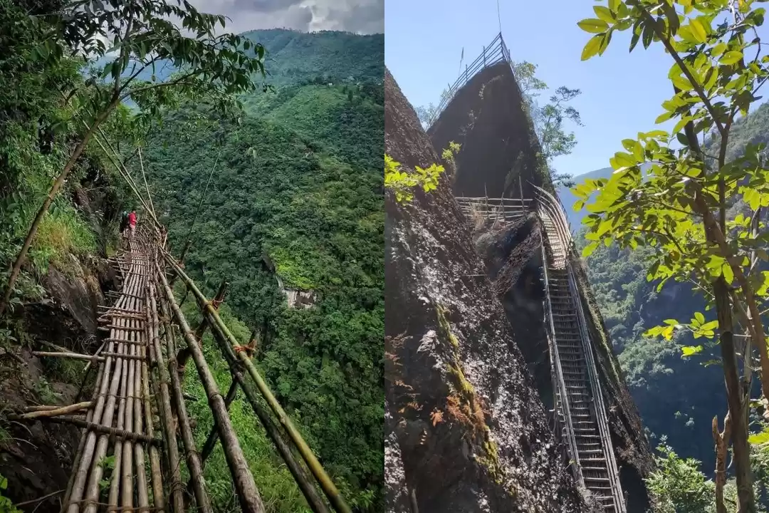 Bamboo Paths & River Glamps