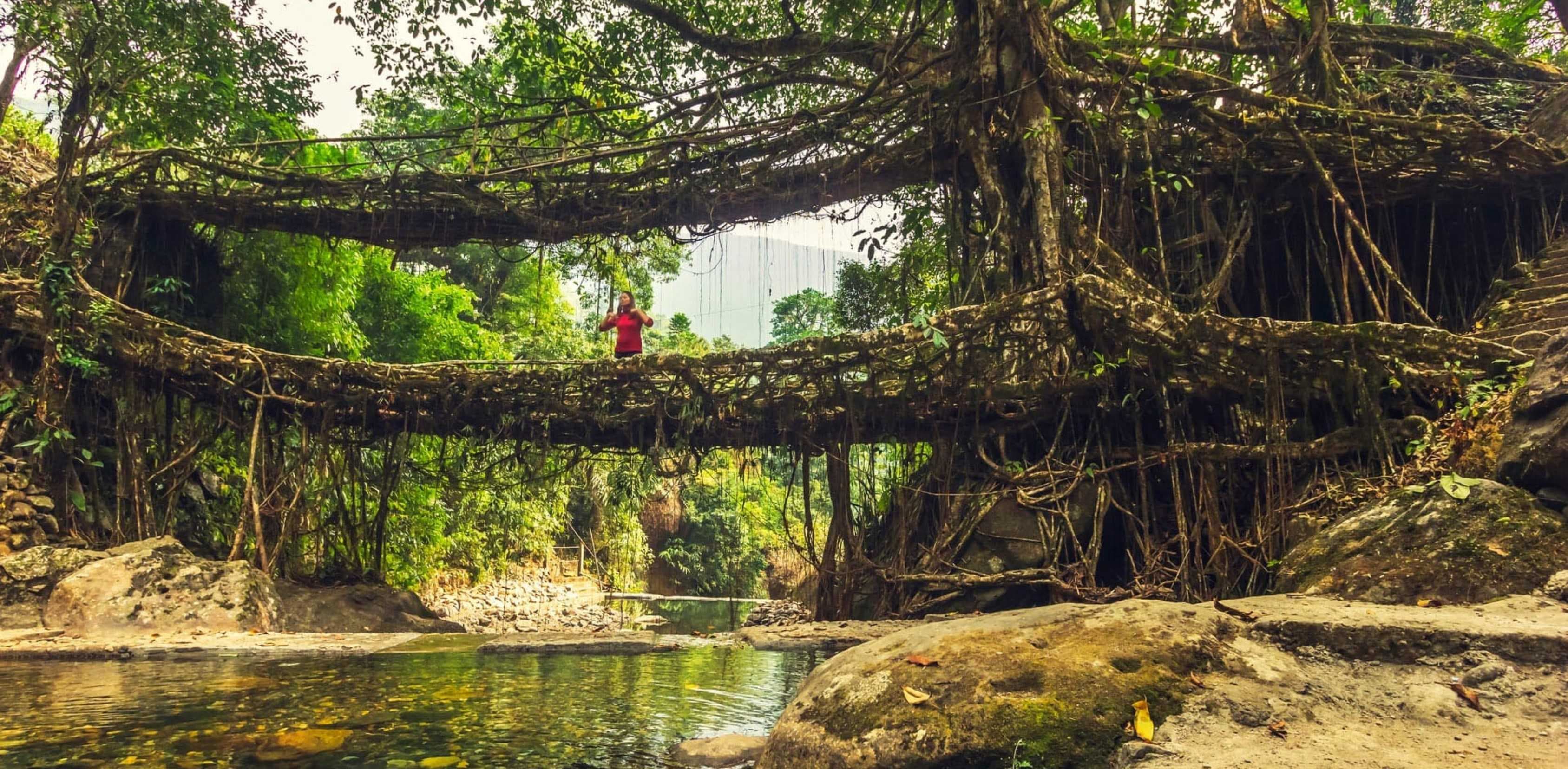 DOUBLE DECKER ROOTS BRIDGE & WATERFALLS