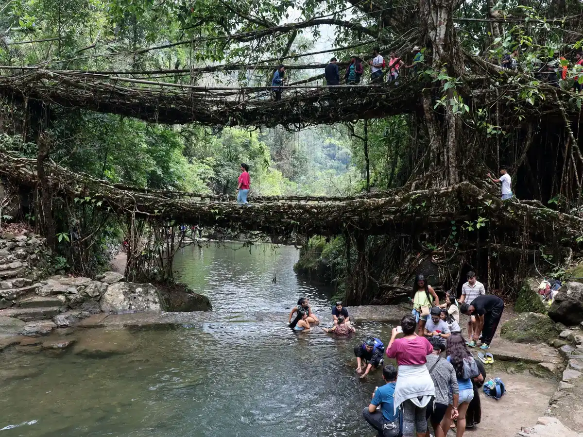 Root Bridges, Fossil Caves & Waterfall Views