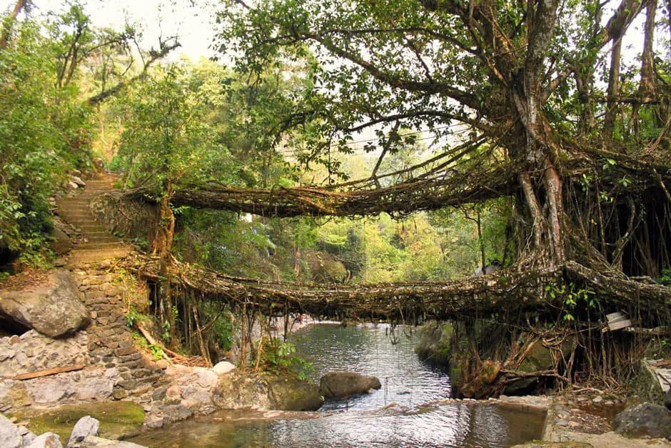 Living Bridges & River Hideaways