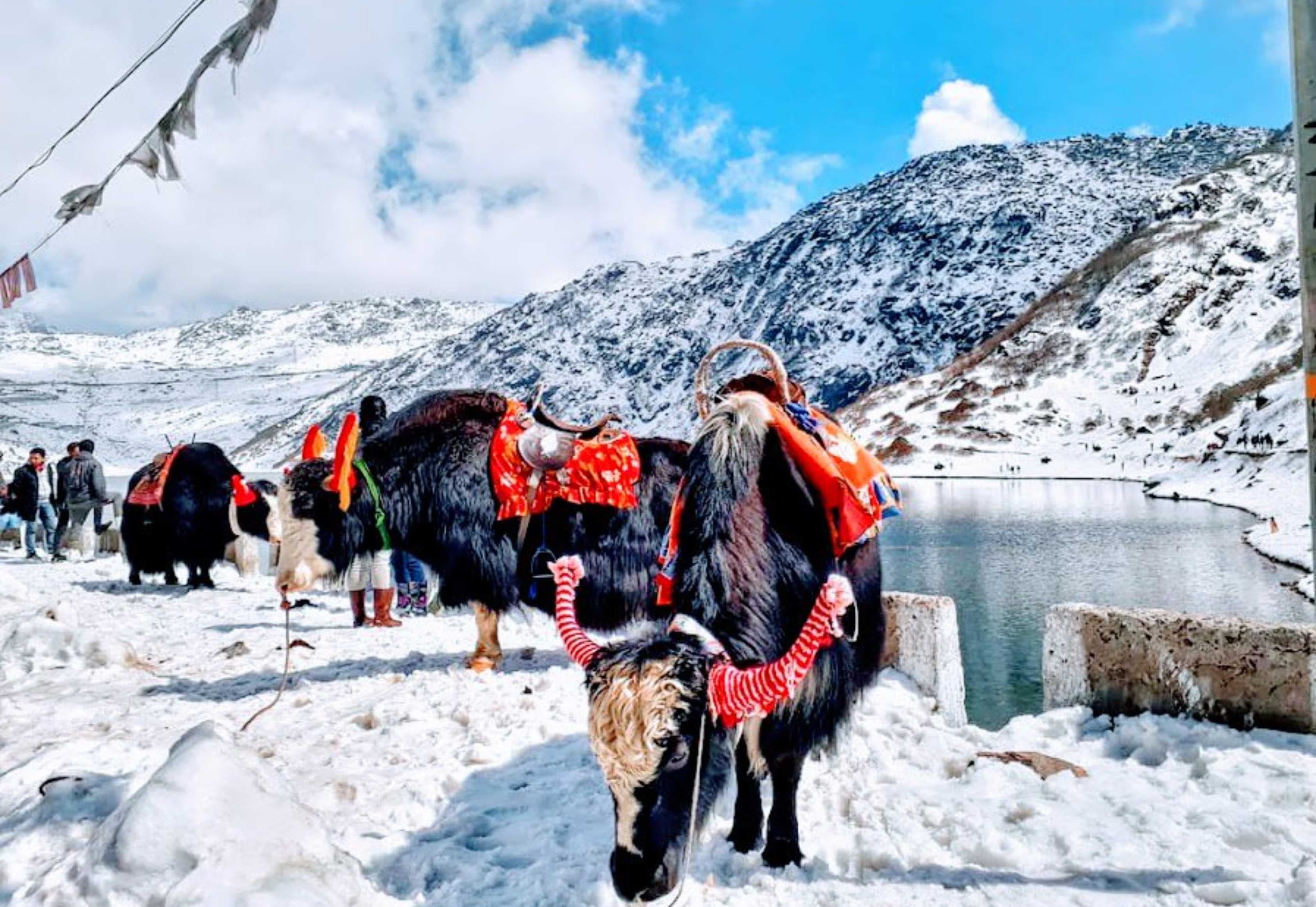 NATHULA PASS & ZULUK