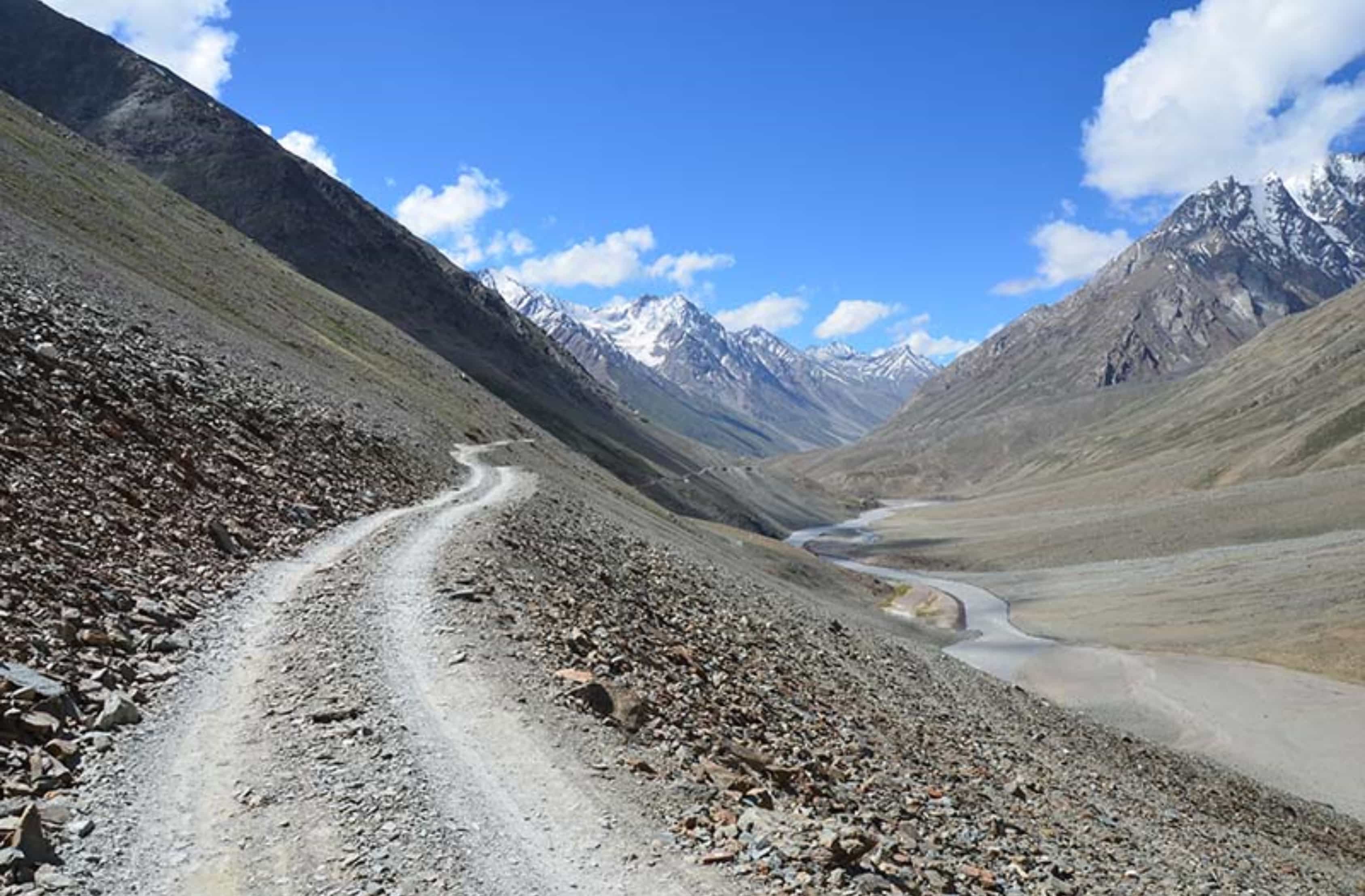 FROM BARREN DESERTS TO LUSH FORESTS